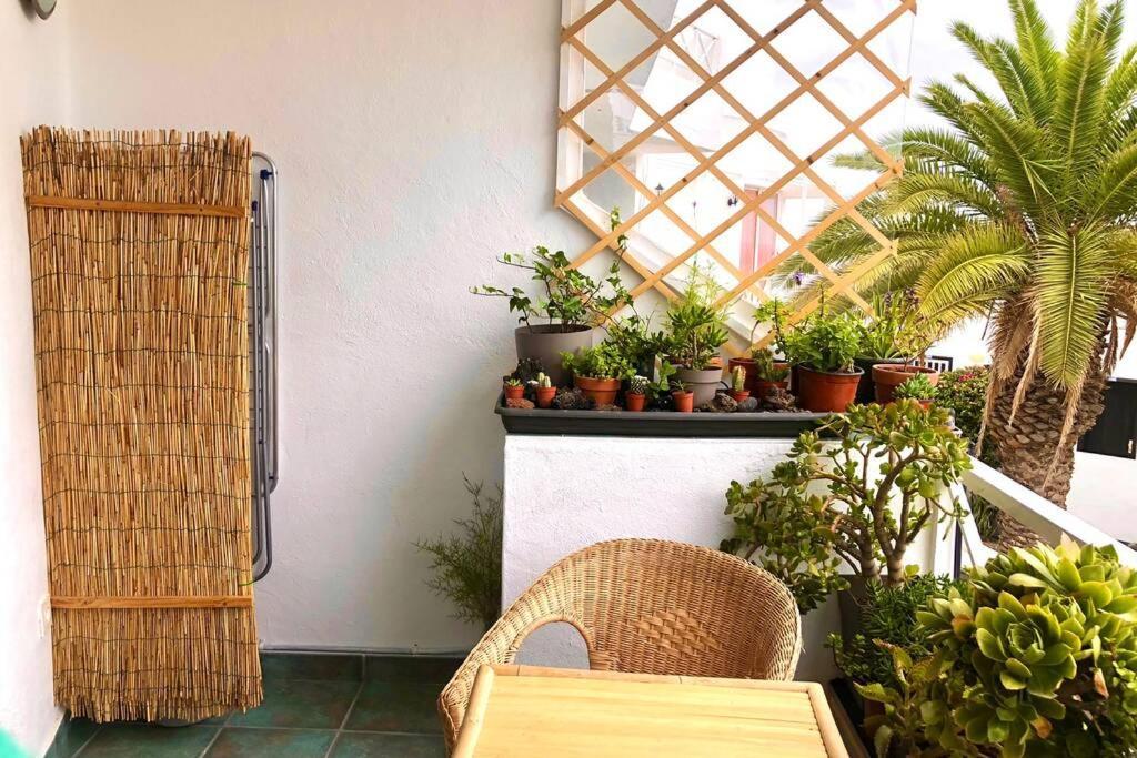 Modern & Spacious Studio Isla, Puerto Del Carmen Tías Eksteriør billede